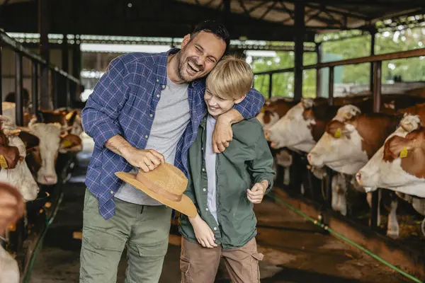 stock image Father and son laughing together in a barn with cows, showcasing family life on a sustainable organic farm.