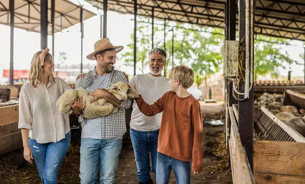 Neşeli çiftçi aile bir ahırda toplanıyor. Koyunlarla çevriliyken gülümsüyor ve kuzuyu tutuyor..