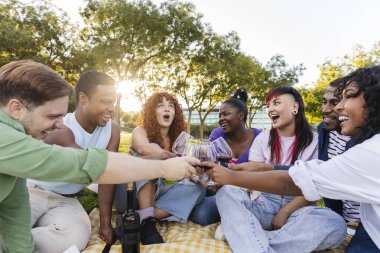 Bir grup genç arkadaş, parkta pikniğin tadını çıkarırken şarap kadehleriyle kadeh kaldırıyor. Arkadaşların Açık Hava Piknik Toplantısı 'nda Şarapla Kadeh kaldırması