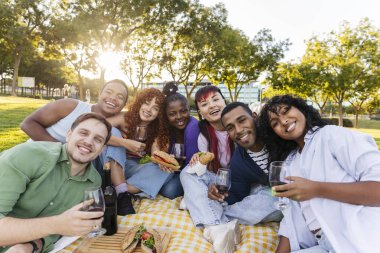 Bir grup genç yetişkin birlikte piknik yapıyor güneşli bir günde sandviçlerini ve şaraplarını paylaşıyor..