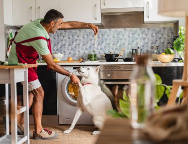 Olgun bir adam, modern bir mutfakta beyaz köpeğine mutlu bir şekilde yemek veriyor. Sevgi ve beraberlik gösteriyor.