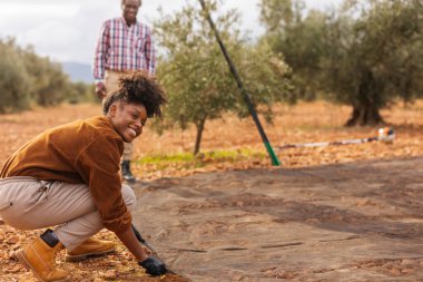 Zeytin hasadı sırasında birlikte çalışan iki çok ırklı çiftçi ağaçlardan düşen zeytinleri toplamak için yere ağlar örüyorlar.