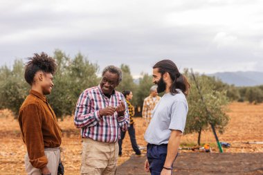 Zeytin hasadı sırasında sohbet eden, uzmanlıklarını paylaşan ve zeytinlikte birlikte çalışmanın yoldaşlığının tadını çıkaran çok ırklı çiftçi takımı.