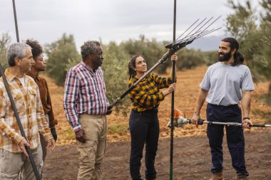 Zeytin bahçesindeki zeytin hasadı sırasında zeytin hasadı kullanan çok ırklı ve çok nesilli çiftçiler modern tarım uygulamaları ve takım çalışması sergiliyorlar.