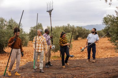 Çok ırklı ve çok nesilli bir çiftçi grubu, zeytin bahçesinde zeytin hasadı sırasında ellerinde aletler ve gülümseme ile birlikte çalışıyorlar.
