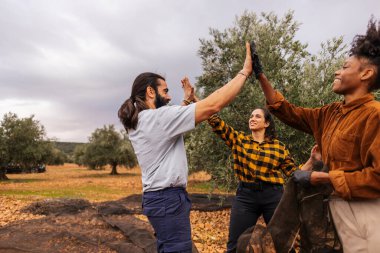 Çiftçilerden oluşan çok ırklı bir ekip, zeytin koruluğunda başarılı bir zeytin hasadı kutluyor, sürdürülebilir tarımda neşe ve takım çalışmasını ifade ediyor.