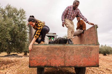 Çiftçilerden oluşan çok ırklı bir ekip traktör römorkuna tırmanıyor, güneşli bir meyve bahçesinde zeytin hasadı sırasında birlikte çalışıyor, takım çalışması ve adanmışlık sergiliyor.