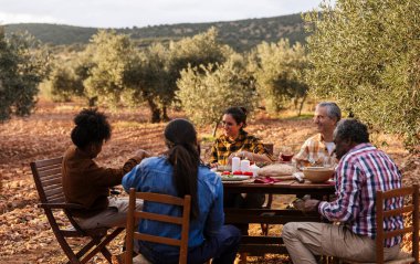 Çok ırklı bir grup çiftçi zeytinlikte ahşap bir masada oturuyorlar. Zeytin hasadıyla geçen bir günden sonra yemeğin tadını çıkarıyorum. Sıkı çalışmalarını ve hasadın bolluğunu kutluyorlar.