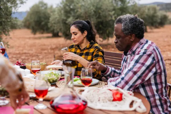 Çok ırklı çiftçiler zeytinlikte birlikte yemek yiyorlar, zeytin yağı döküyorlar ve zeytin hasadından sonra şarabın tadını çıkarıyorlar.