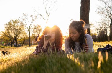 Parkta çimenlerde uzanmış, şişe içeceklerini yudumlayan ve batan güneşin sıcacık parıltısıyla sırılsıklam olan iki genç kadın, kaygısız mutluluk ve dostluğu somutlaştırıyor.