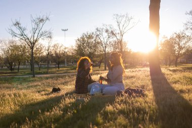 İki arkadaş parkta bir battaniyenin üzerinde oturmuş, gün batımında içkilerin tadını çıkarıyor ve kahkahalarını paylaşıyor, sahneyi sıcak ve davetkar bir ışıltıyla sarıyorlar, mükemmel bir akşam yaratıyorlar.