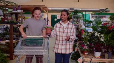 Canlı sera raflarına göz atan, hafta sonu ev iyileştirme projesi için saksı çiçeği ve yeşillik seçerken bahçe seçeneklerini tartışan fidanlık müşterileri.