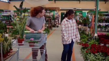 Müşteriler bahçe merkezindeki bitkileri seçmekten zevk alıyorlar, alışveriş arabasını itiyorlar ve çiçek ve çiçek seçerken birbirlerine gülümsüyorlar.