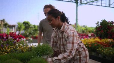 Bahçe merkezi müşterileri, mevsimlik alışveriş deneyimleri sırasında canlı ve renkli bitkilerin arasında dururken beyaz çiçek buketini dikkatlice inceleyip nazikçe koklarlar.