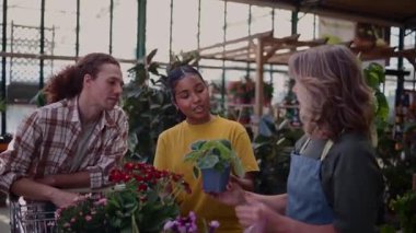 Genç çiftlere bitki seçiminde rehberlik eden deneyimli bahçıvanın sunduğu yeşil temalı sera iç mimarisi ayrıntılı bakım tavsiyeleri ve profesyonel bahçecilik danışmanlığı sunmaktadır.