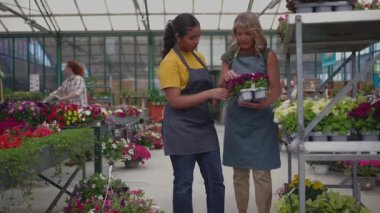 Deneyimli çocuk bakıcıları çiçek kalitesini dikkatle inceliyor, renkli çiçeklerle ve yemyeşil çiçeklerle dolu seranın içinde uzmanlıklarını paylaşıyorlar.
