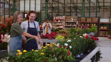 Profesyonel bahçıvanlık ekibi renkli çiçekleri besliyor, parlak sera ortamında dikkatlice sulayan saksı çiçekleri, işbirlikçi bahçecilik uzmanlığı sergiliyor.