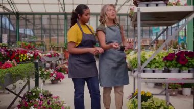 Aynı önlükleri giyen kadın bahçe çalışanları çeşitli bitkiler hakkında fikir alışverişinde bulunurken günışığıyla aydınlanan sera ortamının içinde metal rafların yanında duruyorlar.