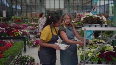 Kadın bahçe çalışanları metal raflardaki çiçekleri dikkatle inceliyor, envanterleri titizlikle kontrol ediyor ve sera ortamında ayrıntıları tartışıyorlar.