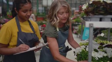Bir seranın içinde, kıdemli bir çiçekçi genç bir öğrenciye çeşitli bitkileri nasıl tanıyacağını ve onlarla nasıl ilgileneceğini öğretir.