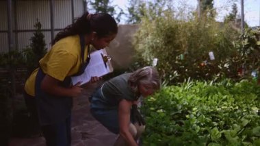 İki anaokulu çalışanı, biri olgun diğeri genç, envanter yönetimi konusunda işbirliği yapıyor, bitkileri titizlikle kontrol ediyor ve canlı bir sera ortamındaki bir panoda ayrıntıları kaydediyor.
