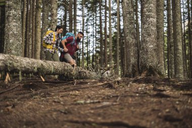 Sırt çantalı iki yürüyüşçü sık bir ormanı keşfederken düşmüş bir ağaç gövdesinin üzerinden dikkatle tırmanıyorlar. Açık hava maceraları sırasında engelleri aşmada takım çalışması ve dayanıklılığı gösteriyorlar.