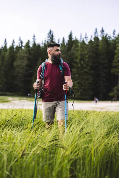 Sırt çantalı ve yürüyüş direkleri olan sakallı yürüyüşçü bir orman ve göl kenarındaki uzun otların arasında yürüyor, açık hava macerası sırasında güzel doğanın tadını çıkarıyor.