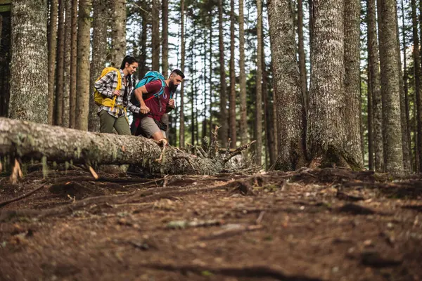 Sırt çantalı iki yürüyüşçü sık bir ormanı keşfederken düşmüş bir ağaç gövdesinin üzerinden dikkatle tırmanıyorlar. Açık hava maceraları sırasında engelleri aşmada takım çalışması ve dayanıklılığı gösteriyorlar.