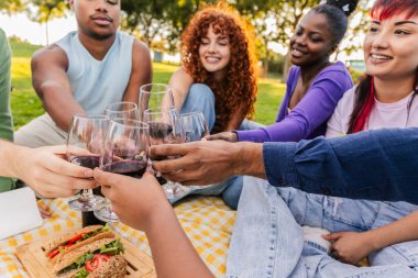 Neşeli genç, çok ırklı insanlar güneşli bir yaz gününde pikniğin tadını çıkarıyor, kırmızı şarap bardaklarıyla kadeh kaldırıyor ve sandviç yiyorlar.