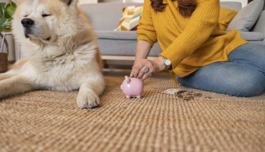 Kadın, evde yerde oturmuş, para biriktirme ve finansal planlama kavramlarını somutlaştıran akita köpeği yakınlarda dinlenirken kumbaraya bozuk para koyuyor.