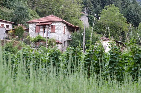 Case Nel Villaggio Zarouhla Acahia Grecia Paesaggi Greci — Foto Stock