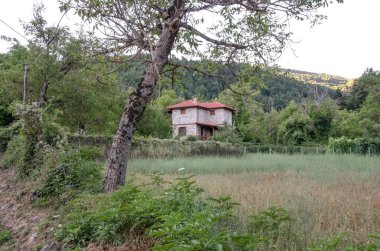 Zarouhla köyündeki evler. Acahia, Yunanistan. Yunan manzaraları