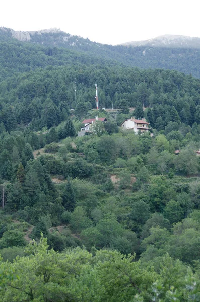 Häuser Dorf Zarouhla Acahia Griechenland Griechische Landschaften — Stockfoto