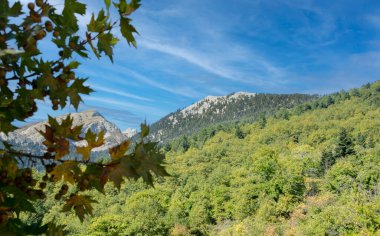 Corinth 'in Antik Feneos bölgesindeki Doxa I Gölü manzarası. Yunanistan