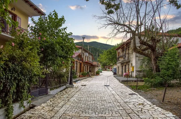 Gata Med Hus Kértezi Village Grekland Peloponnesos Berg Vilages Peloponnesos — Stockfoto