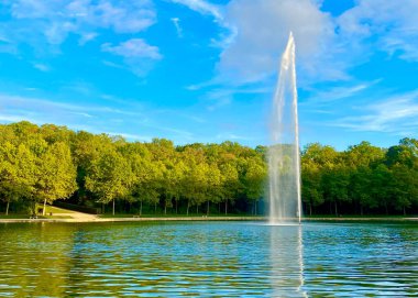 Gölün yakınındaki parkta ağaçlar dizilmişti.