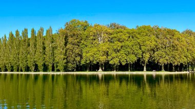 Gölün yakınındaki parkta ağaçlar dizilmişti.