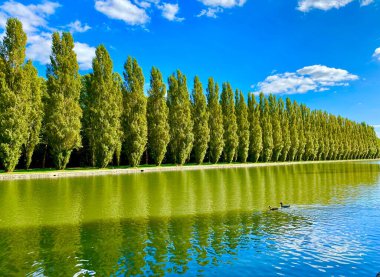 Gölün yakınındaki parkta ağaçlar dizilmişti.