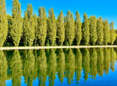 Gölün yakınındaki parkta ağaçlar dizilmişti.