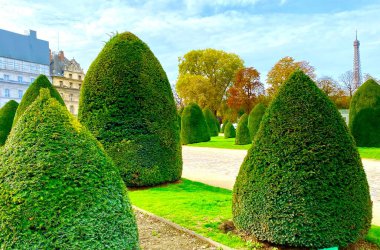 Paris 'teki Les Invalides' in bahçesinde güzel bir ağaç bahçesi.