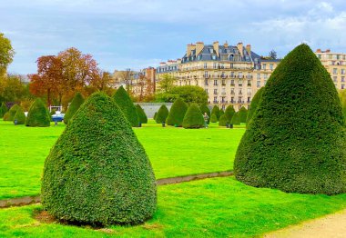 Paris 'teki Les Invalides' in bahçesinde güzel bir ağaç bahçesi.