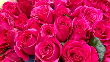 Markette pembe güller.