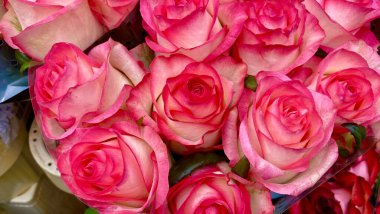 Markette pembe güller.