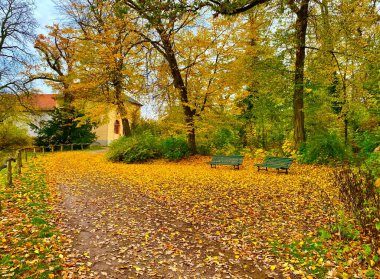 Parkta güzel sonbahar renkleri