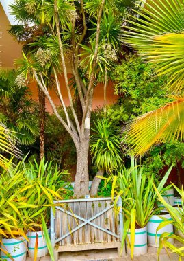 Weimar, Thuringen 'deki Botanik Bahçesi