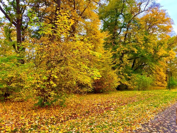 stock image Beautiful autumn colors in the park