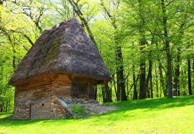 Romanya 'nın kırsalında güzel bir kır evi