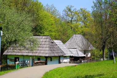 Romanya 'nın kırsalında güzel bir kır evi