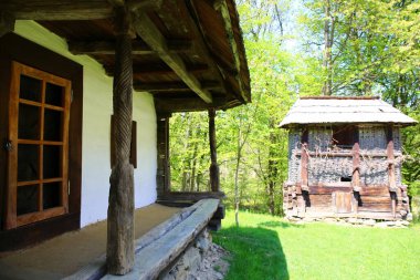 Romanya 'nın kırsalında güzel bir kır evi