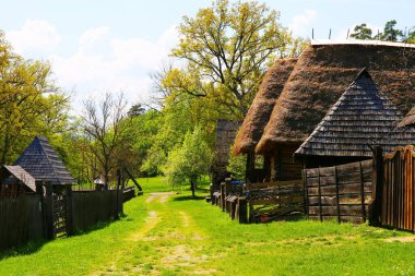 Romanya 'nın kırsalında güzel bir kır evi